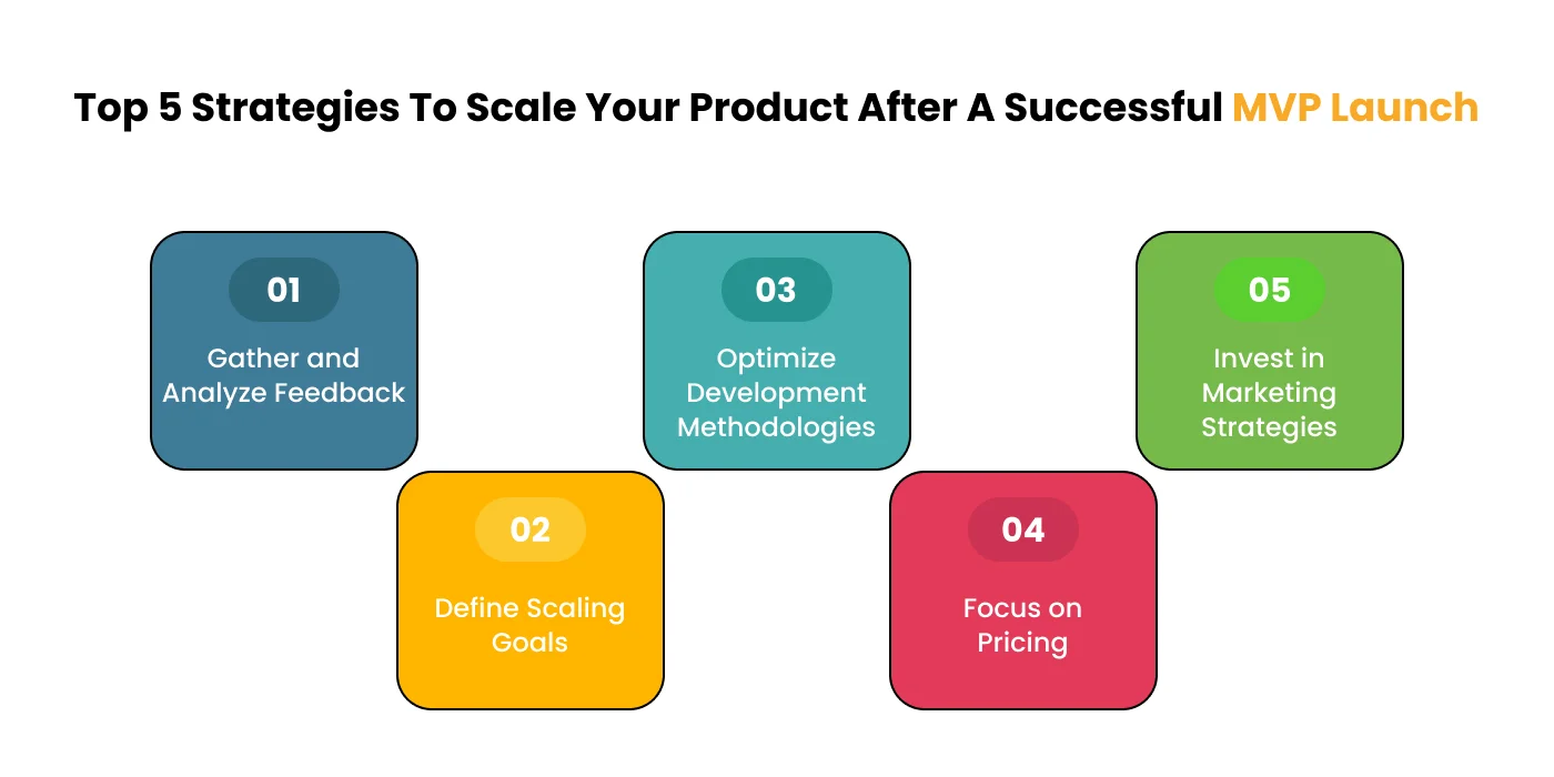 Strategies To Scale Your Product After A Successful MVP Launch